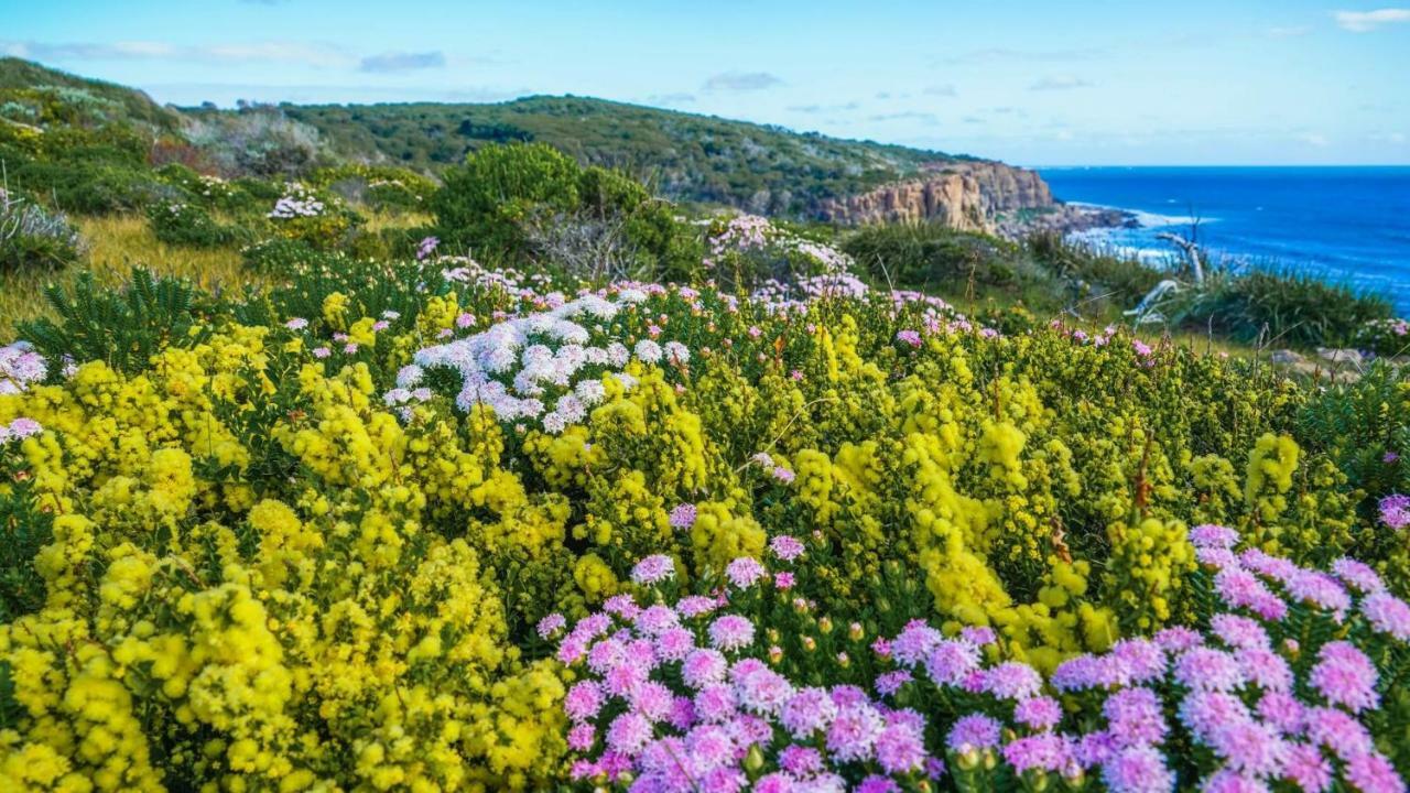By The Sea Margaret River Gnarabup ภายนอก รูปภาพ